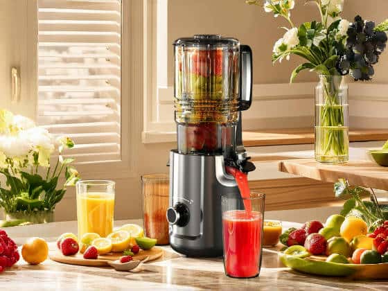 slow juicer machine
