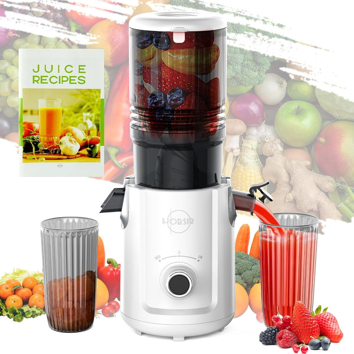 Slow juicer