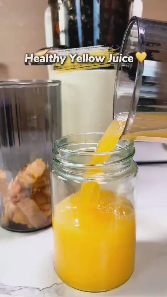 slow juicer
